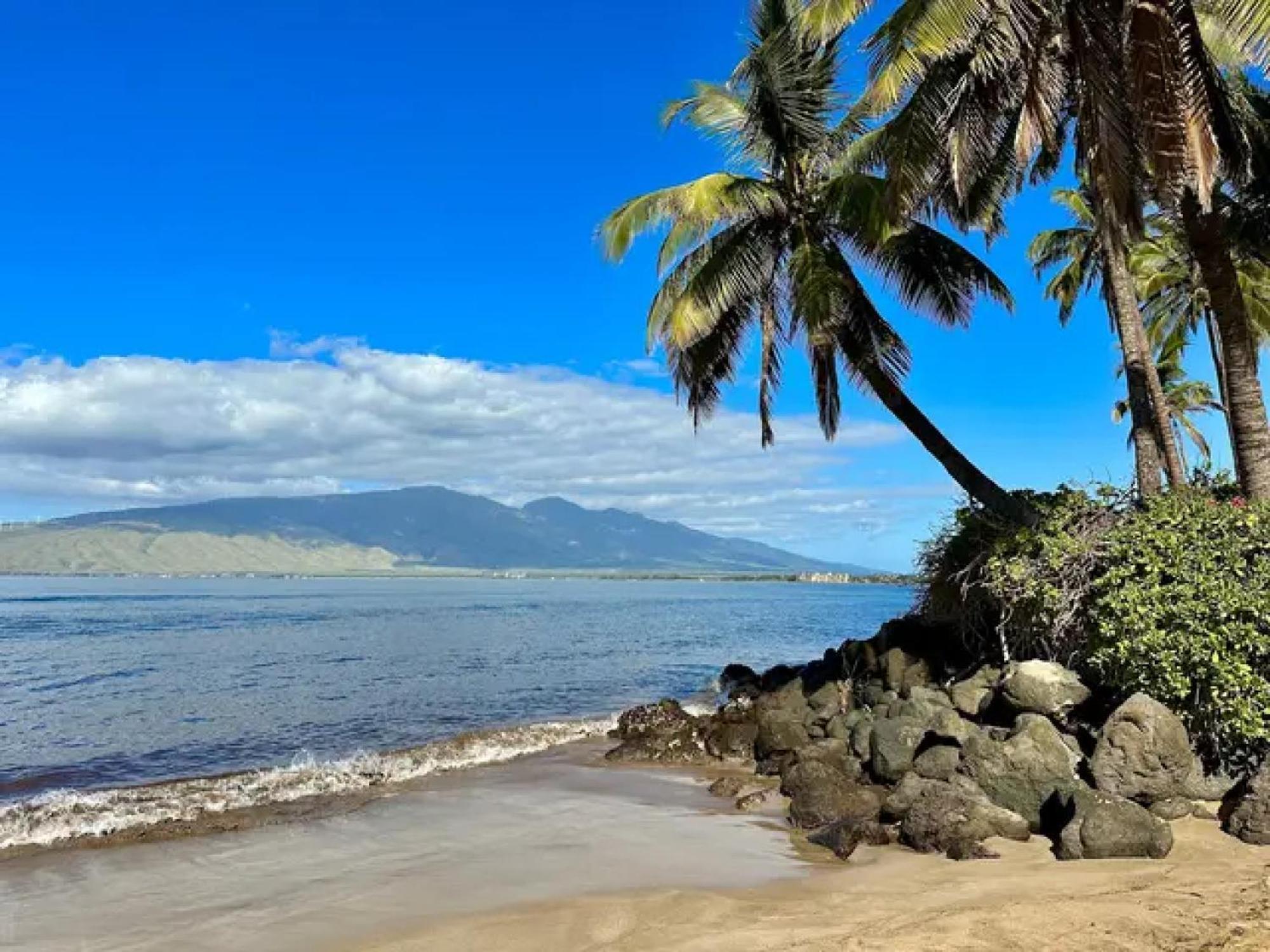 Cozy Maui Studio Retreat Just Steps To The Sand! Кихей Экстерьер фото